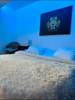 UltraCentral Cozy Apartment